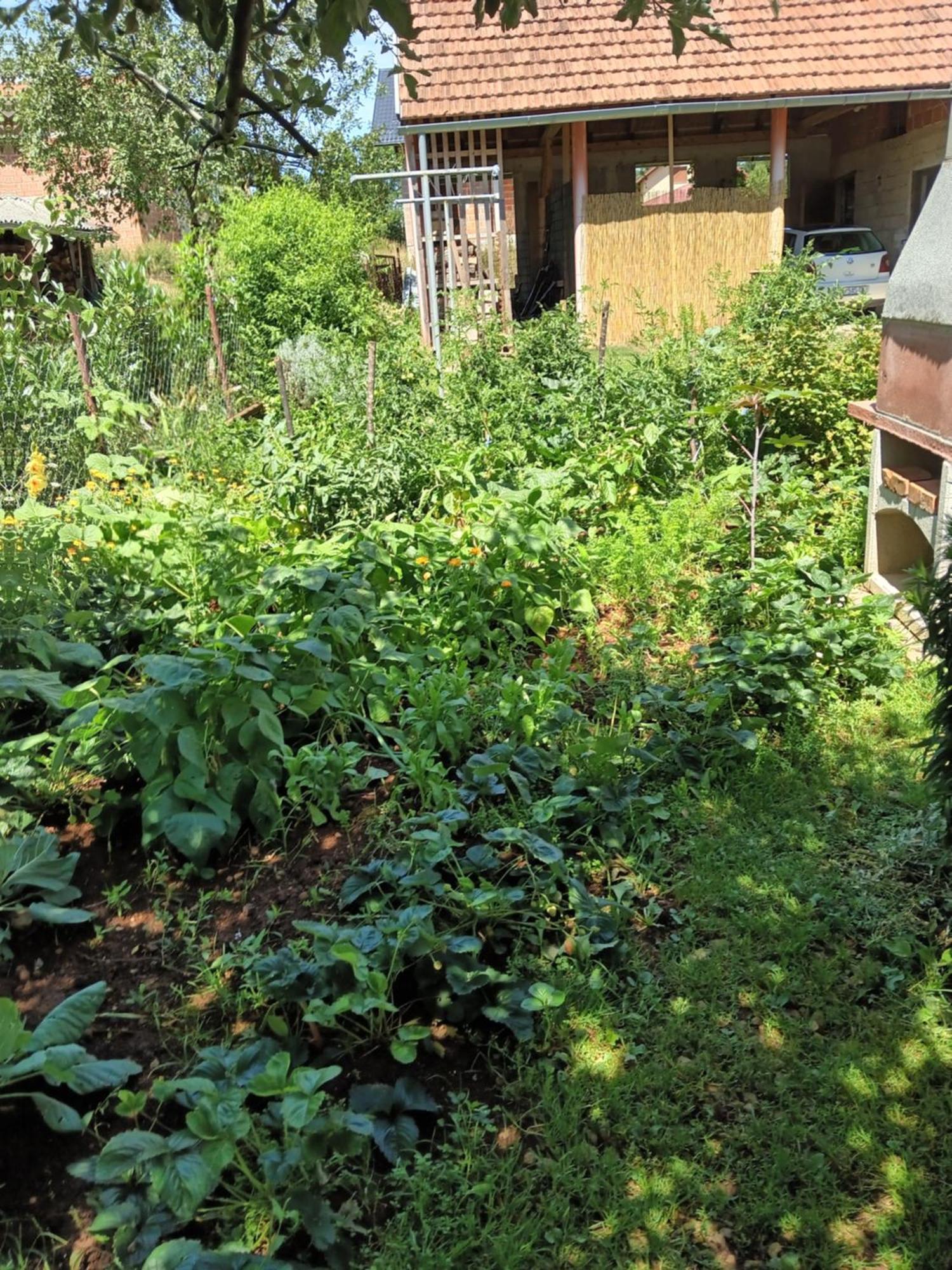 Apartman Pavelic Lovinac  Buitenkant foto
